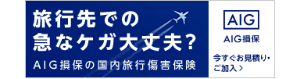 国内旅行保険 ネット申込